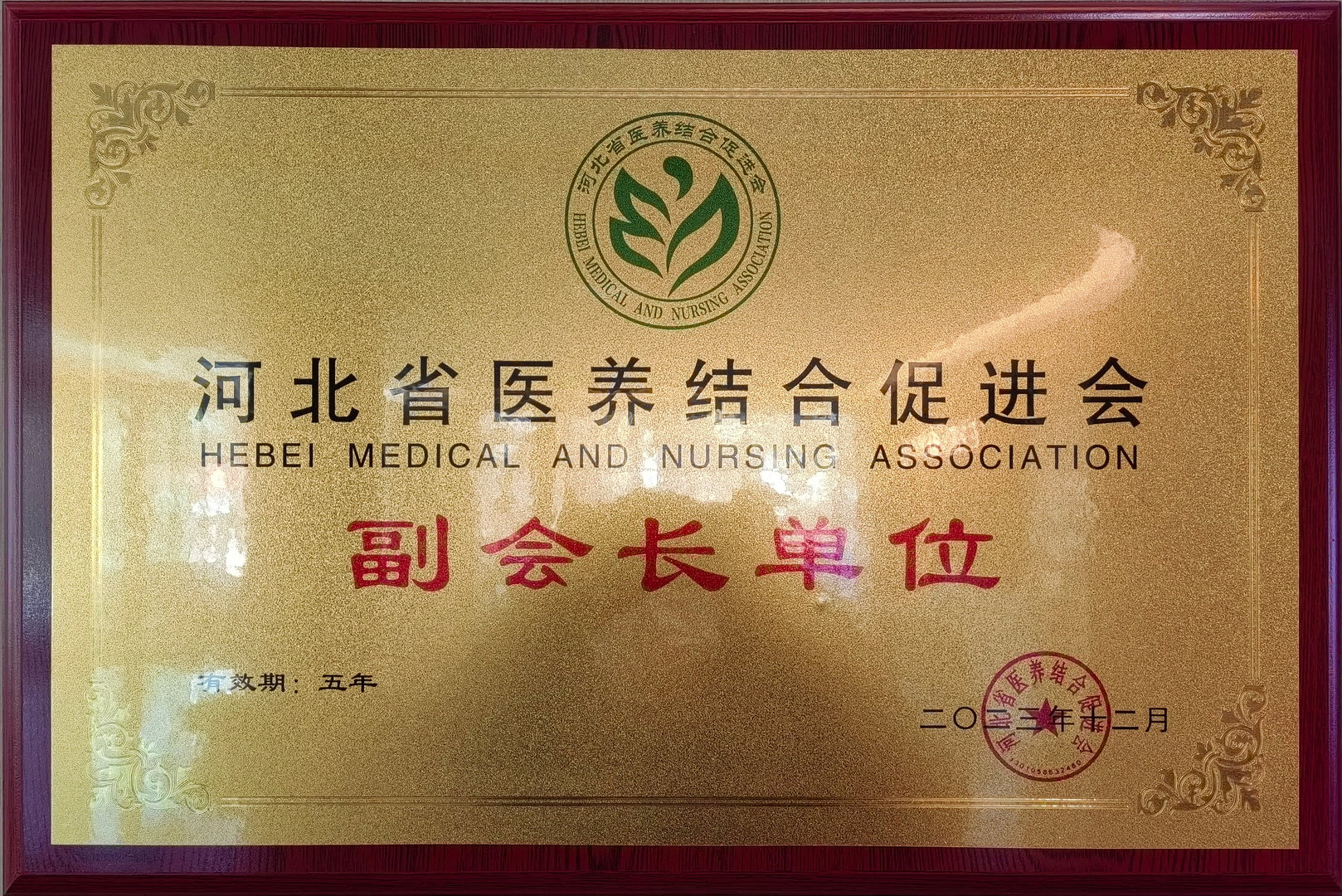 医疗健康荣誉5