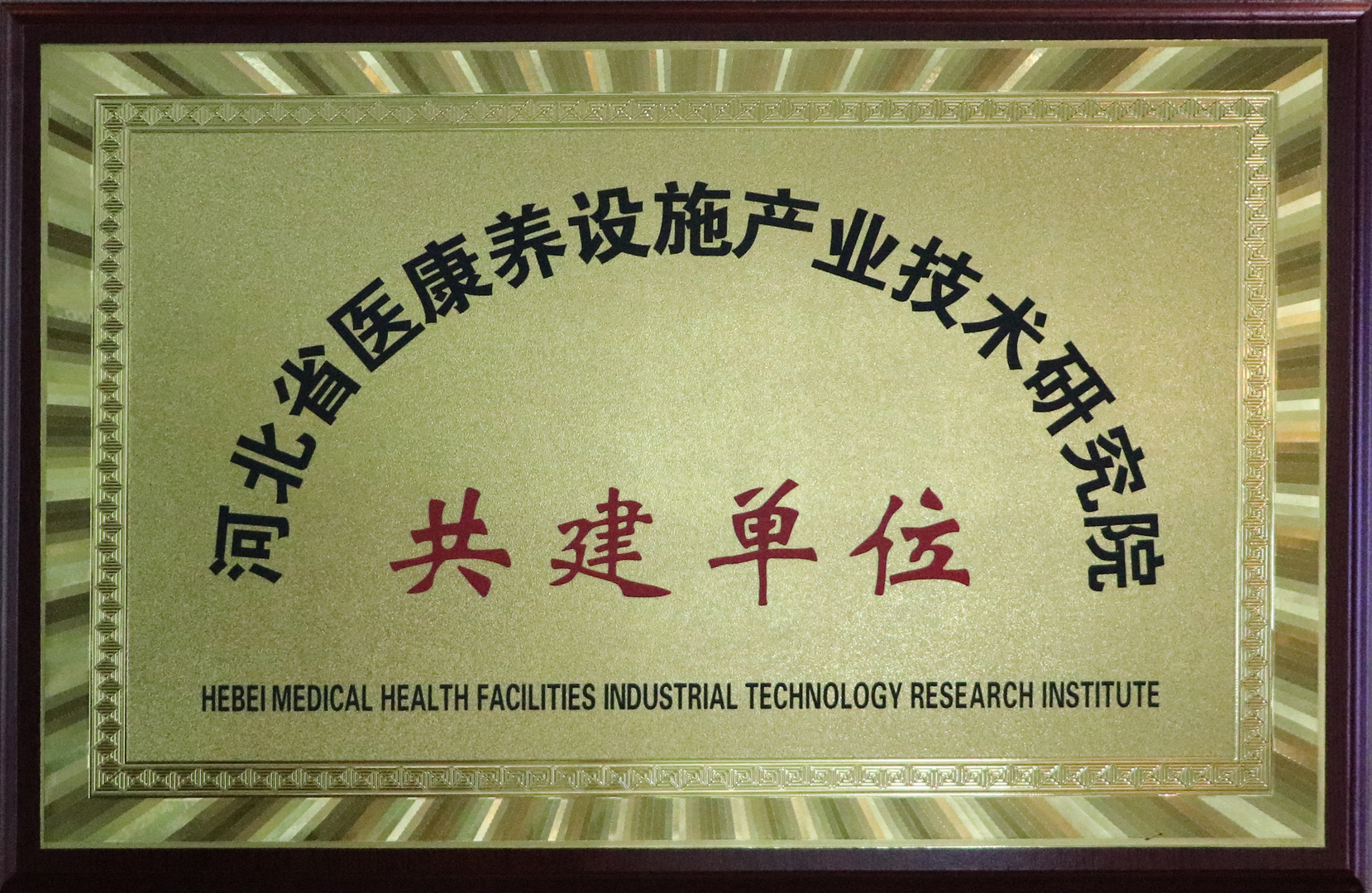 医疗健康荣誉6