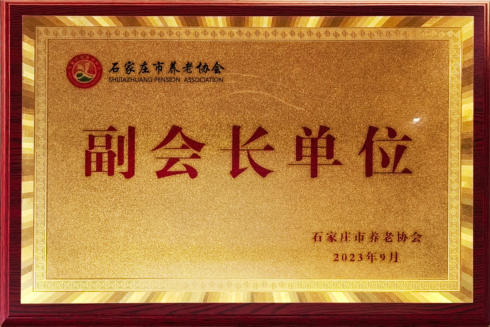 医疗健康荣誉7