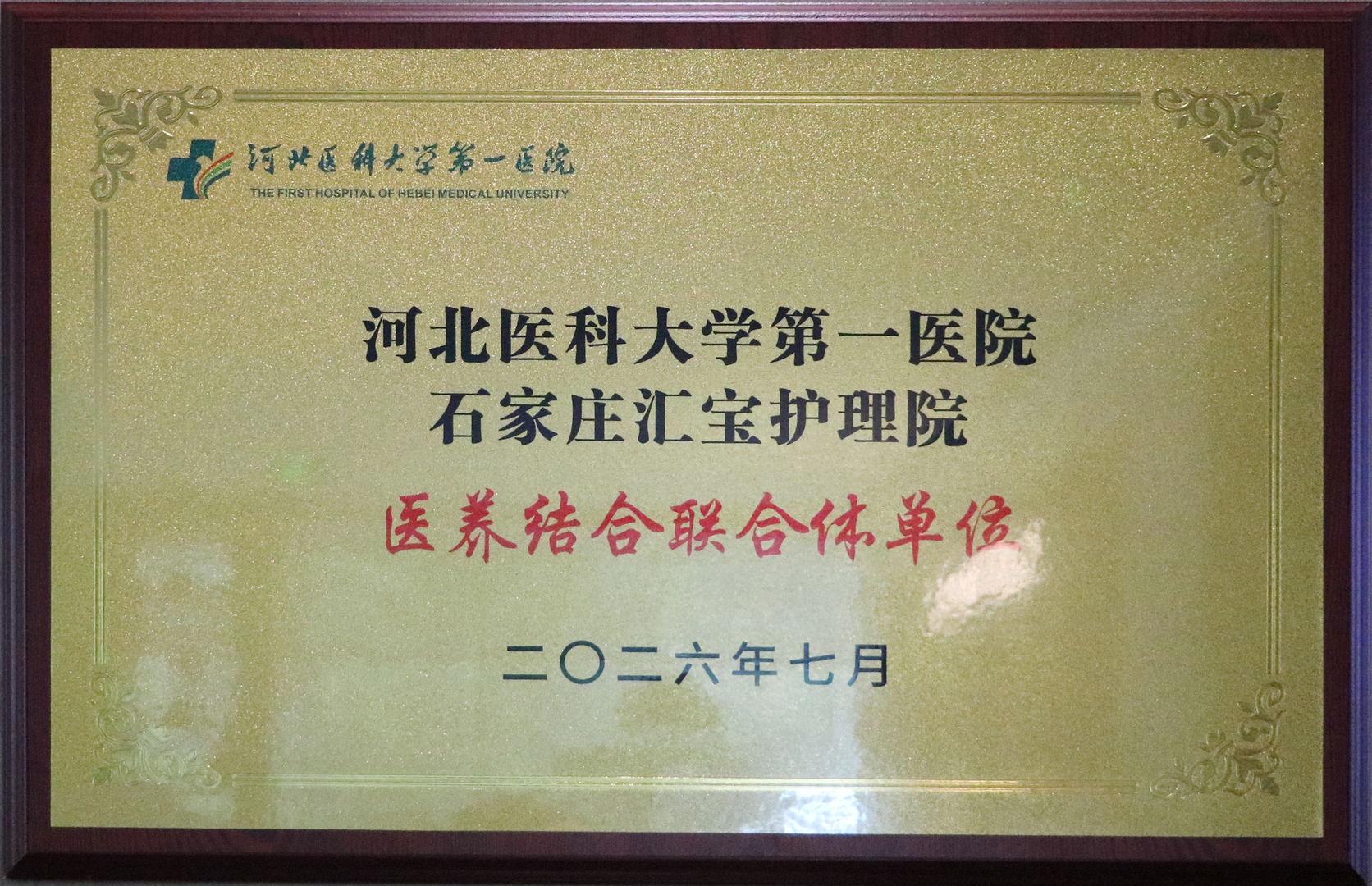医疗健康荣誉8