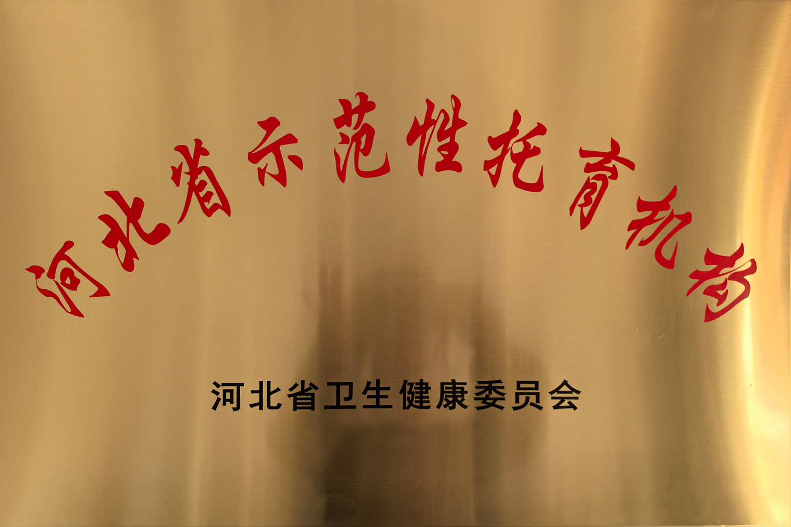 文化教育荣誉4