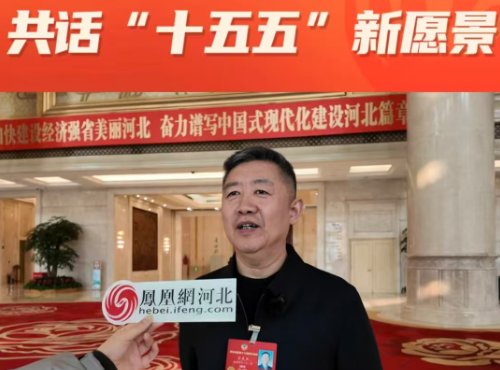 凤凰网委员代表共话“十五五”新愿景