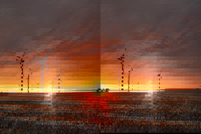 想象国际幼儿园