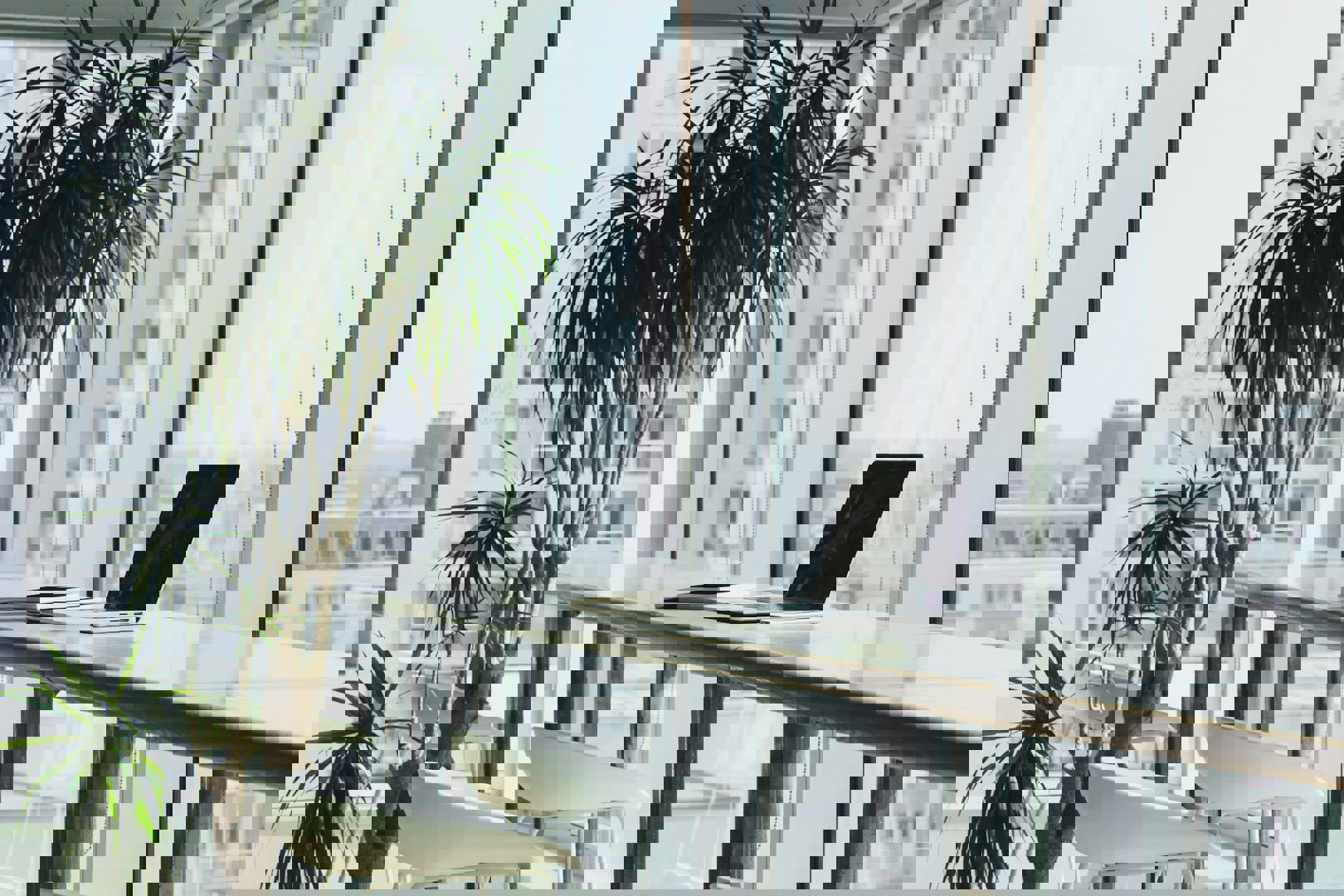 利鑫公益，爱传天下