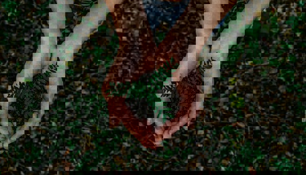 利鑫集团发布年度可持续发展报告：绿色低碳转型初见成效